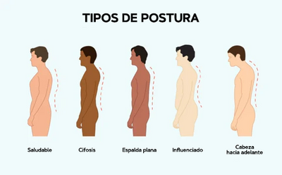 CORRECTOR DE ESPALDA - POSTURE PREMIUM™