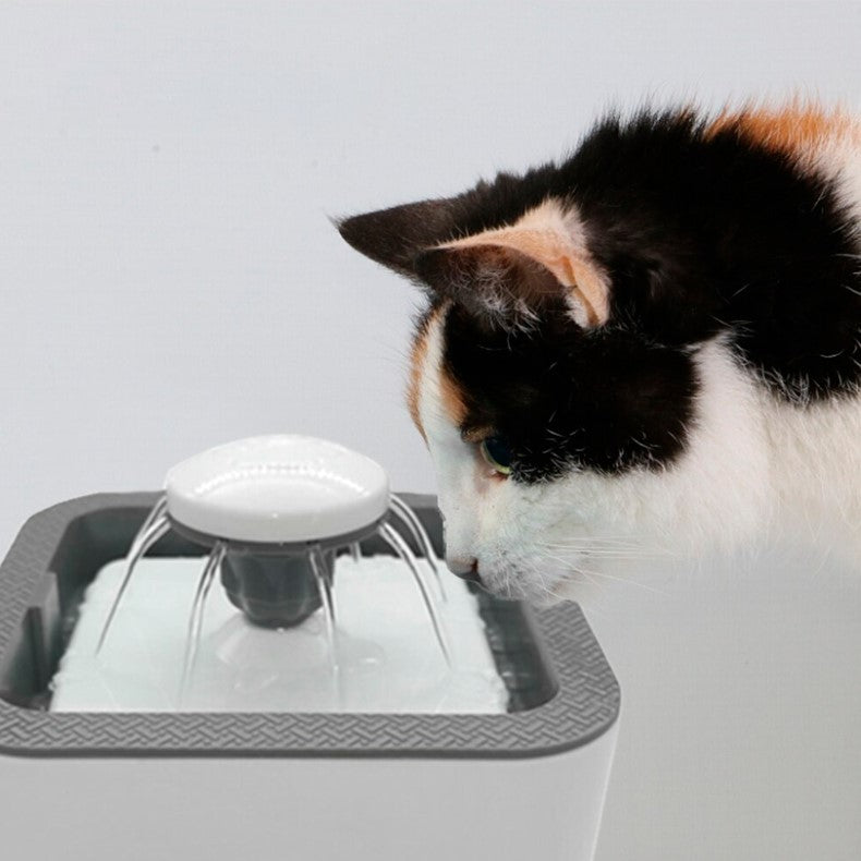 Fuente De Agua Para Gatos Y Perros 25lt