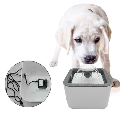 Fuente De Agua Para Gatos Y Perros 25lt